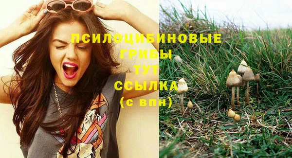 бошки Богородск