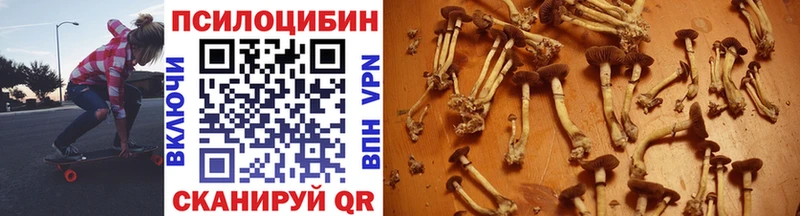 Купить  Пыть-Ях  Галлюциногенные грибы Cubensis 